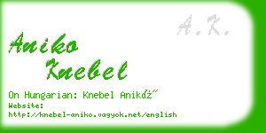 aniko knebel business card